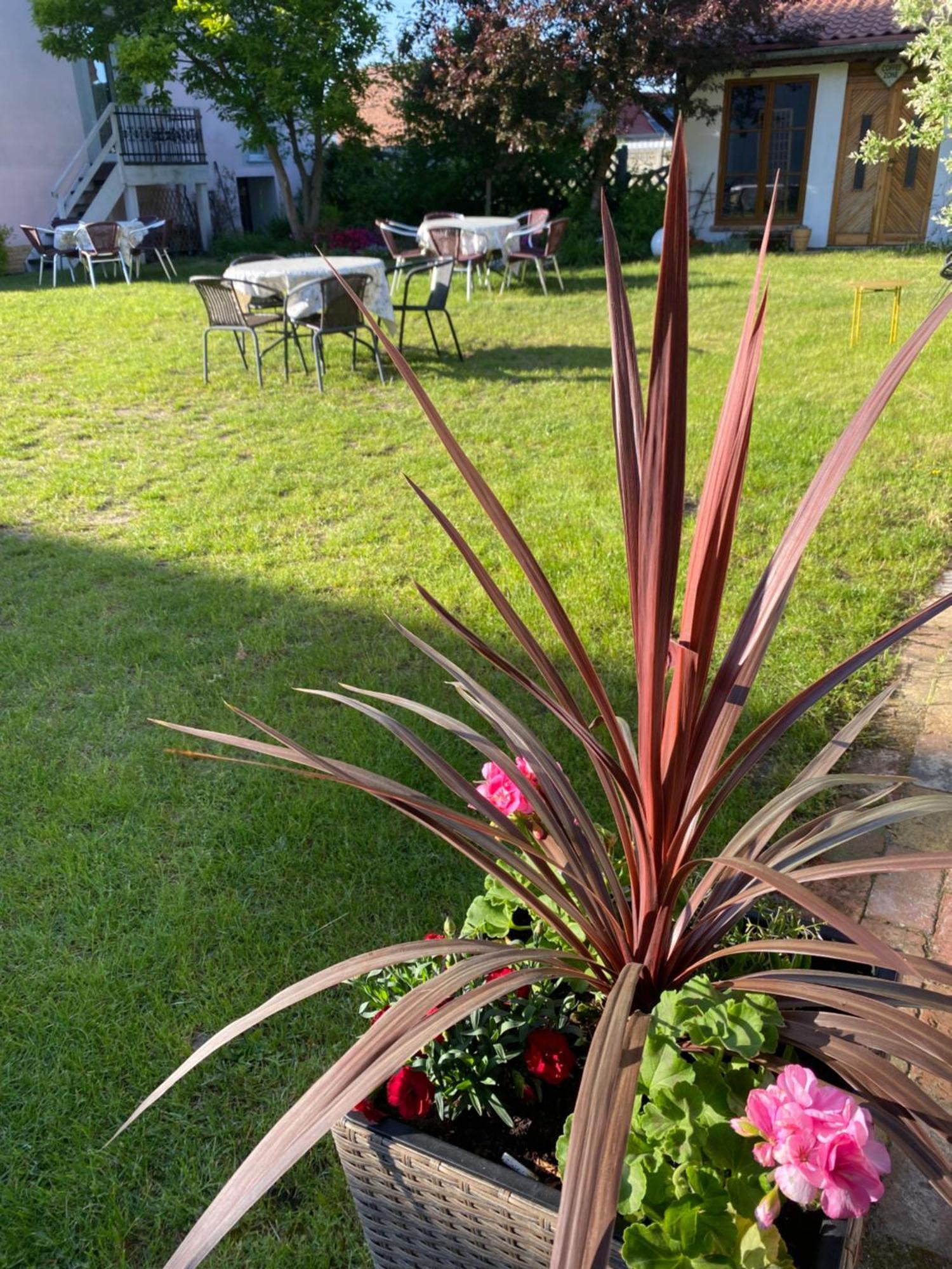 Guest House Wiejska Sielanka Brody  외부 사진